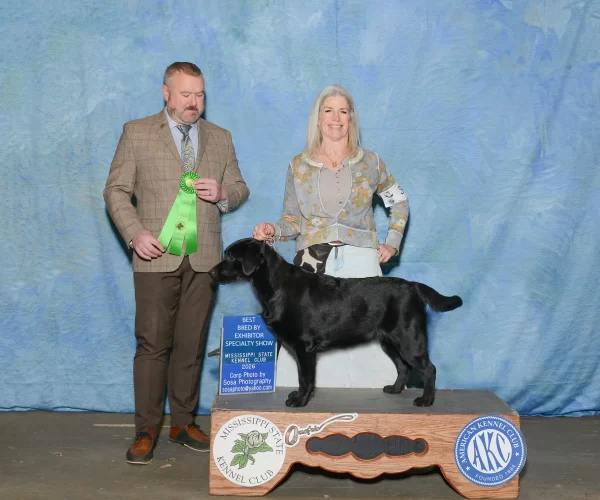 2026 MS LRC Specialty 1