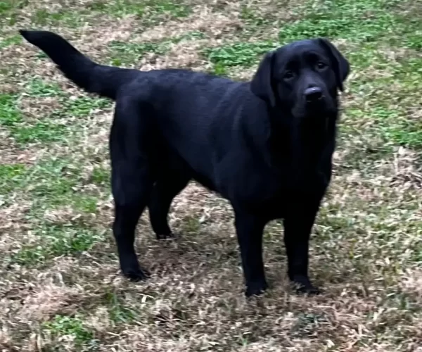 2026 MS LRC Specialty 2