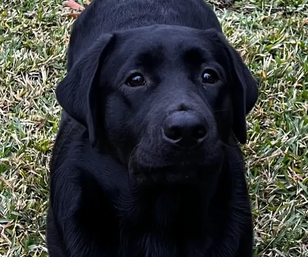 2026 MS LRC Specialty 3