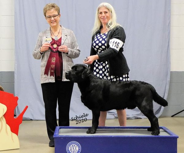 Bruce-BLRC 2020 Bruce-BLRC 2020