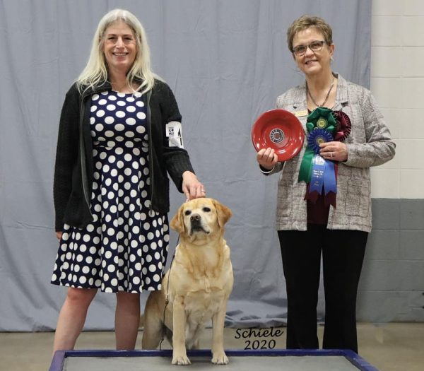 Stella-BLRC 2020 Stella-BLRC 2020
