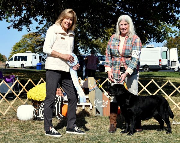 twyla_specialtywin_2024 twyla_specialtywin_2024