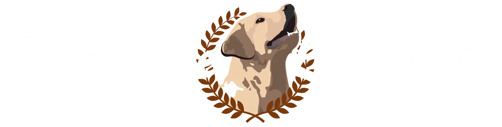 Labradors at Sandstone