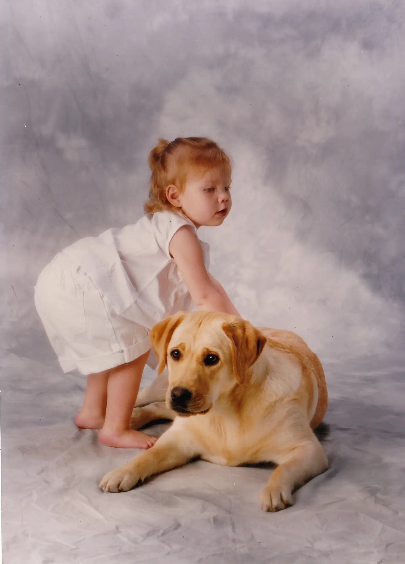 Old Dogs - Chloe and Sonic